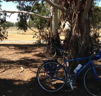 Murchison Rail Trail - Accommodation Daintree