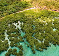 The Singapore Shipwreck Dive Site - Keswick Island - Accommodation Daintree