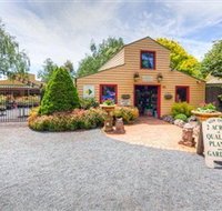 Springhill Nursery - Accommodation Daintree