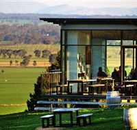 Tallis Wine Cellar Door - Accommodation Daintree
