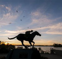 Black Caviar Statue - Accommodation Daintree