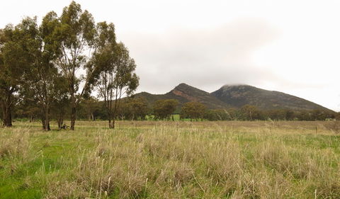 The Rock Nature Reserve - Kengal Aboriginal Place - Accommodation Daintree 2