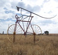 Animals on Bikes - Accommodation Daintree
