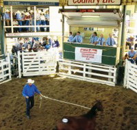Gracemere Exhibition Complex - Accommodation Daintree