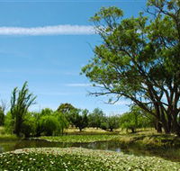 Wirraminna Environmental Education Centre - Accommodation Daintree