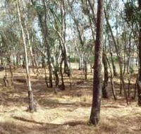 Chiltern-Mt Pilot National Park - Accommodation Daintree