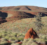 Camel Trail Millstream-Chichester National Park - Accommodation Daintree