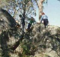 Mount Samaria State Park - Accommodation Daintree