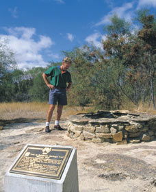 North Tammin ACT Accommodation Daintree