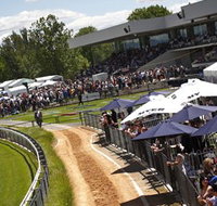 Thoroughbred Park Canberra Racing Club - Horse Racing in the Nations Capital - Accommodation Daintree