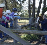 Harlow Park Horse Riding - Accommodation Daintree