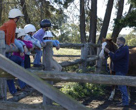Harlow Park Horse Riding - Accommodation Daintree 0