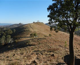 Urambi Hills - Accommodation Daintree 1