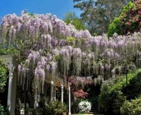 Nooroo Gardens - Accommodation Daintree 0