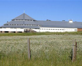 Deeargee Woolshed - Accommodation Daintree 0