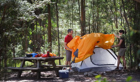 Bald Rock National Park - Accommodation Daintree 1