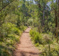 Mares Forest Creek walking track - Accommodation Daintree