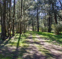 Wombeyan Waterfall walking track - Accommodation Daintree