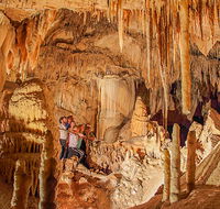Kooringa Cave - Accommodation Daintree