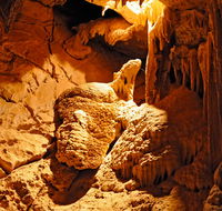 Fig Tree Cave - Accommodation Daintree