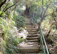 Nature track - Accommodation Daintree