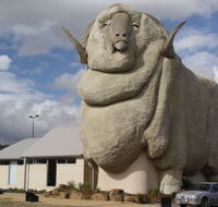 Big Merino - Accommodation Daintree