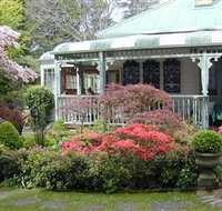 Falls Gallery - Accommodation Daintree