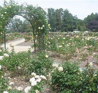 Victoria Park Rose Garden - Accommodation Daintree