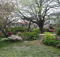 Hamilton Spa - Accommodation Daintree