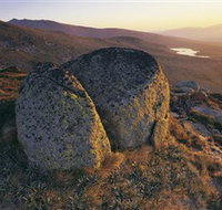 Main Range Track - Accommodation Daintree