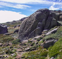 Mount Stillwell walk - Accommodation Daintree