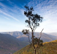 Salisbury Waters walking track - Accommodation Daintree