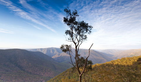 Salisbury Waters Walking Track - Accommodation Daintree 0