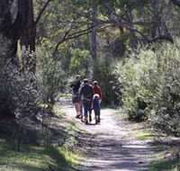 Syd's Rapids and Aboriginal Heritage Trail Avon Valley - Accommodation Daintree