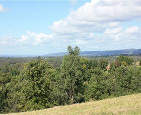 Kurrajong Village - Accommodation Daintree 1