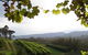 Enniskillen Orchard - thumb 1