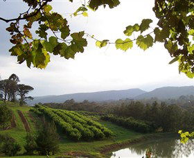 Enniskillen Orchard - Accommodation Daintree 1