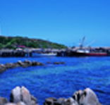 King Island Dairies - Accommodation Daintree