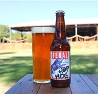 Feral Brewing Company - Accommodation Daintree