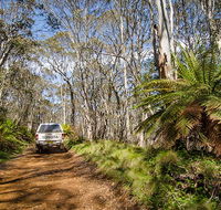 Barrington trail - Accommodation Daintree