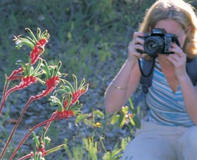 Kalamunda National Park - Accommodation Daintree 1