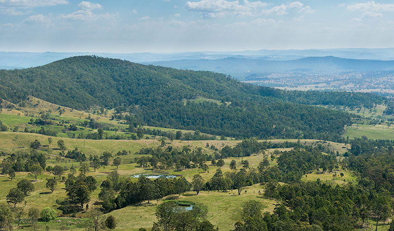 Koreelah NSW Accommodation Daintree