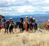 Snowy Wilderness - Accommodation Daintree
