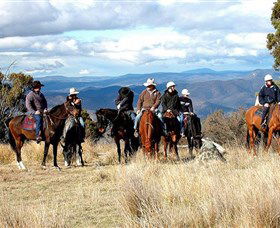 Snowy Wilderness - Accommodation Daintree 0