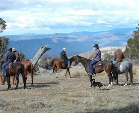 Snowy Wilderness - Accommodation Daintree 3