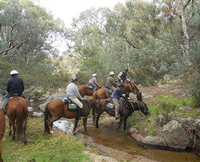 Snowy Wilderness - Accommodation Daintree 5
