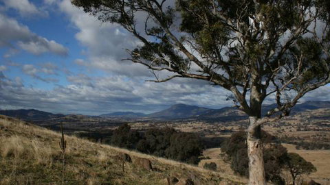 Urambi Hills - Accommodation Daintree 2
