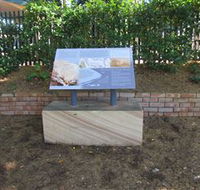 Coxs Road Interpretive Trail - Accommodation Daintree