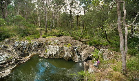 Koreelah National Park - Accommodation Daintree 2