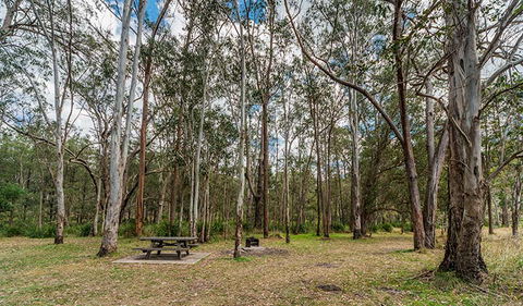 Koreelah National Park - Accommodation Daintree 3